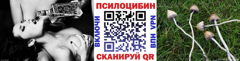 Галлюциногенные грибы Magic Shrooms  kraken вход  Реж 